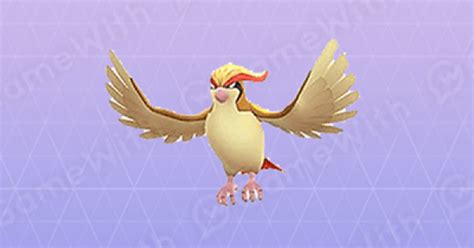 pidgeotto evolve|pokemon go pidgeot best moveset.